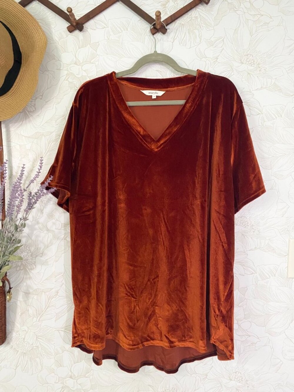 Amaryllis Womens Rust Velvet V-Neck Short Sleeve Top 3X